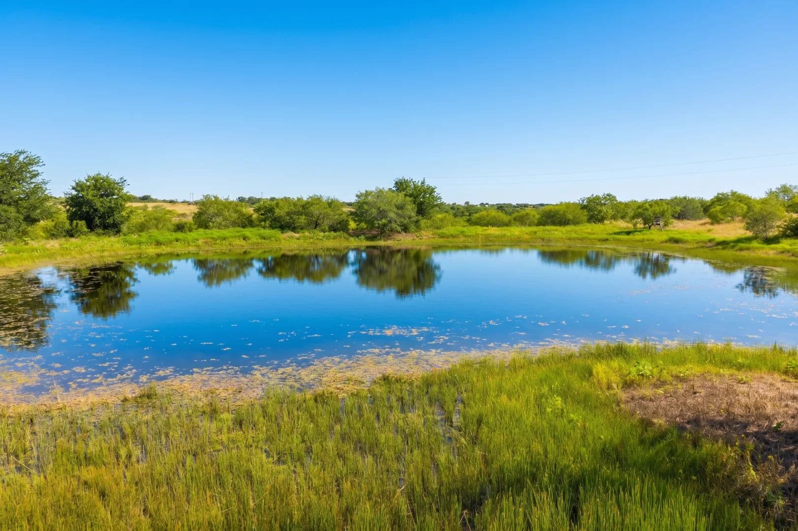 101 Acres in Buckholts, Water, Views and Wildlife - Buckholts, Texas, 76518