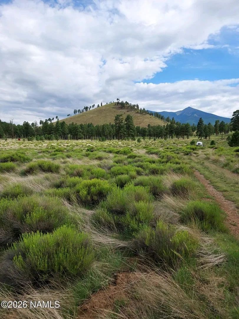 Property from 21 Fun Valley Road - KW - Flagstaff, Arizona, 86001