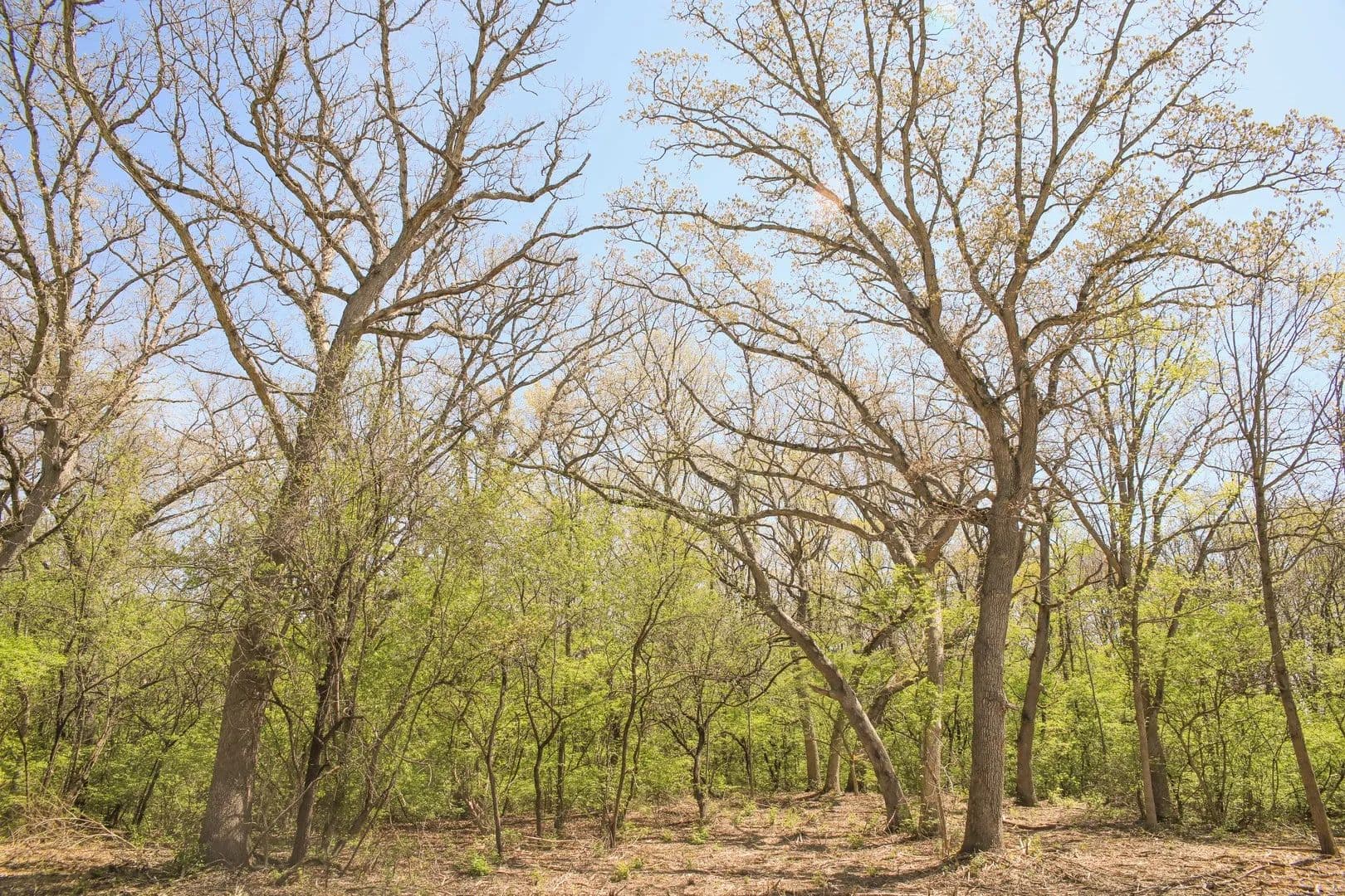 1.31 Acres of Land for Sale in Marengo, Illinois - Marengo, Illinois, 60152