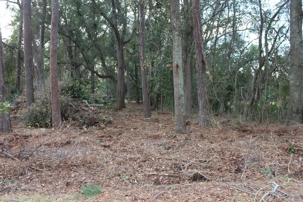 Property from 0 S Lott St - KW - Lenox, Georgia, 31637