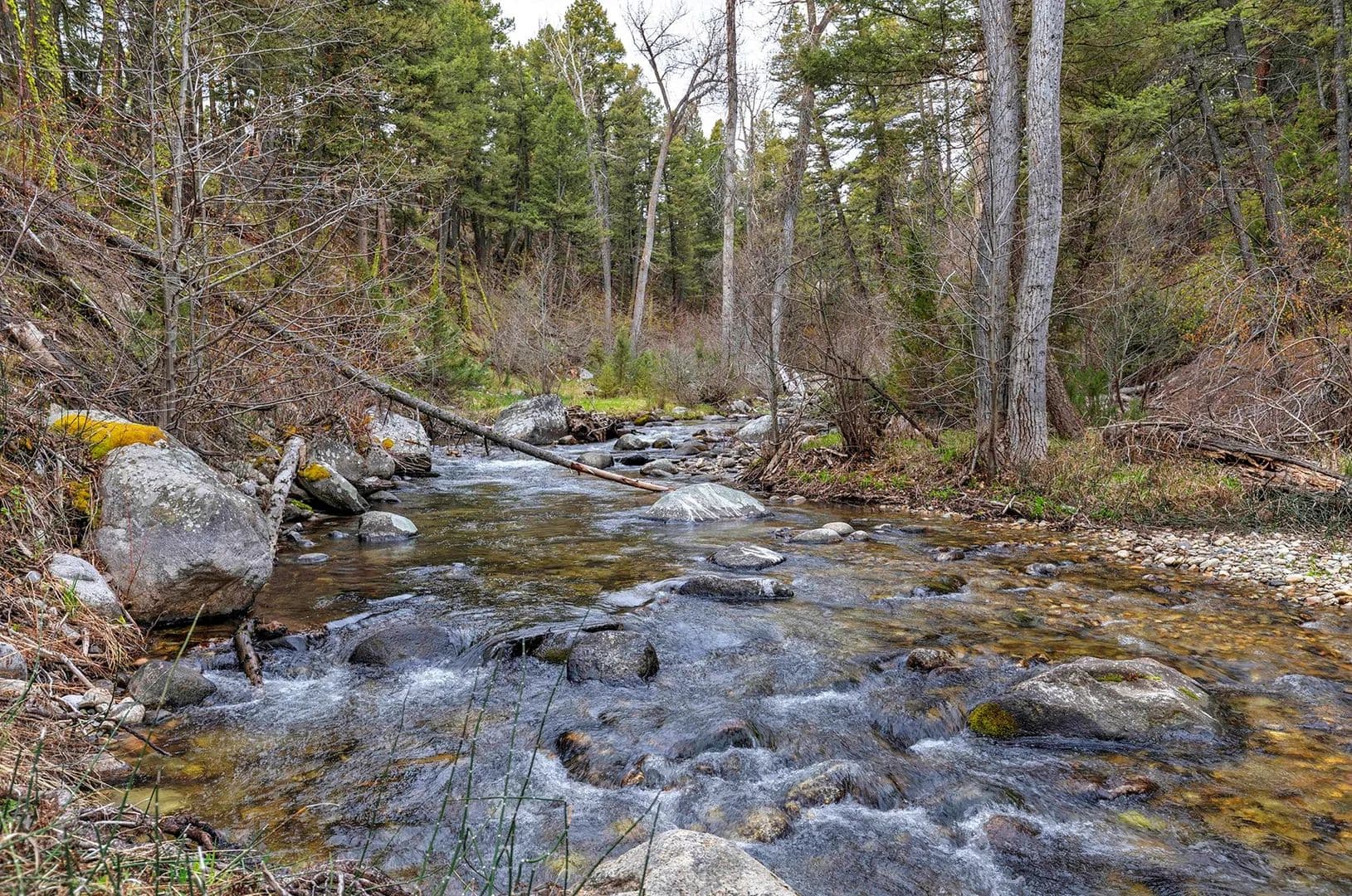 Property from 958 Pauly Drive - KW - Deer Lodge, Montana, 59722