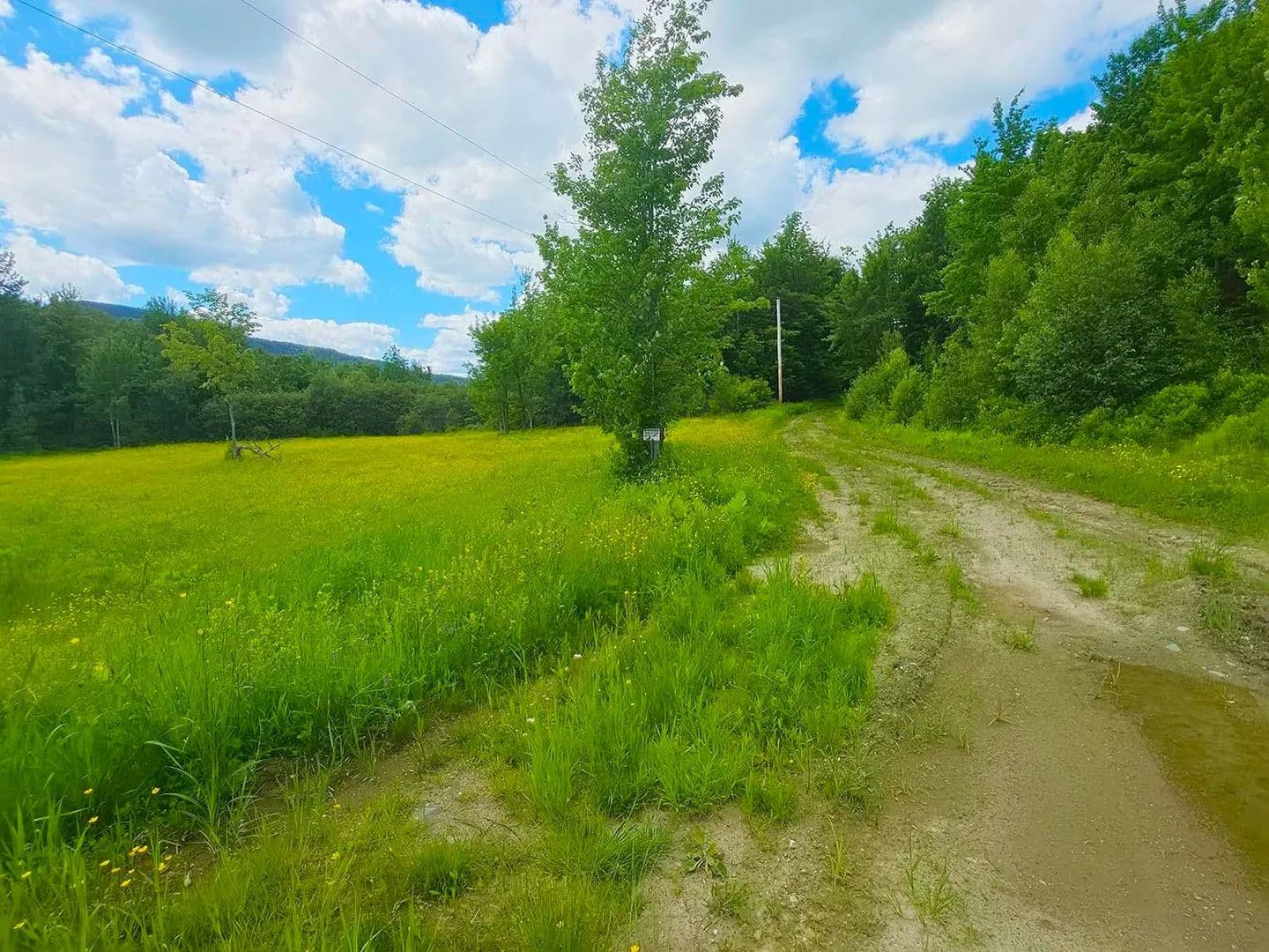 Property from 1A Lakeview Lane - KW - Elmore, Vermont, 05680