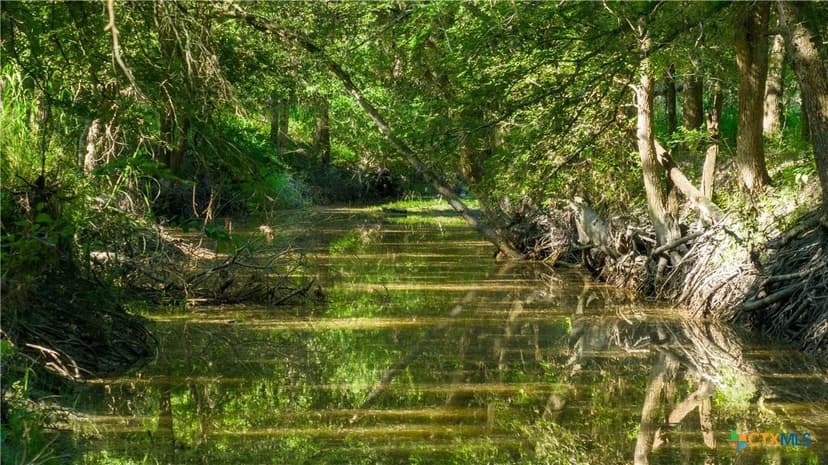 Vacant Land in Three Rivers