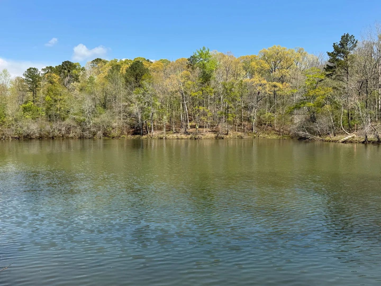 Stunning 1+/- Acre Lot on Yates Lake in Tallapoosa County - Tallassee, Alabama, 36078
