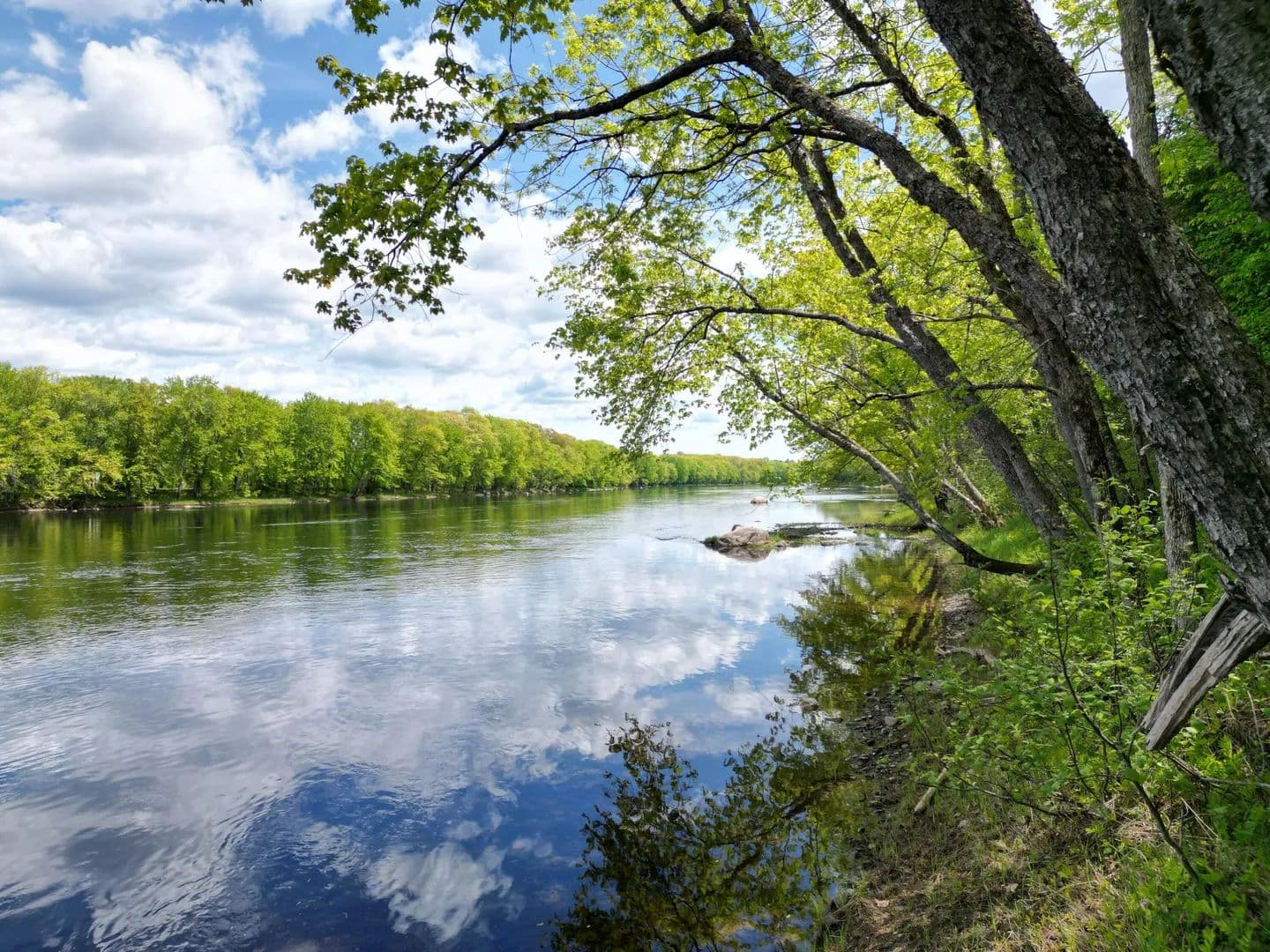 3 Acres of Land for Sale in Woodville, Maine - Woodville, Maine, 04457
