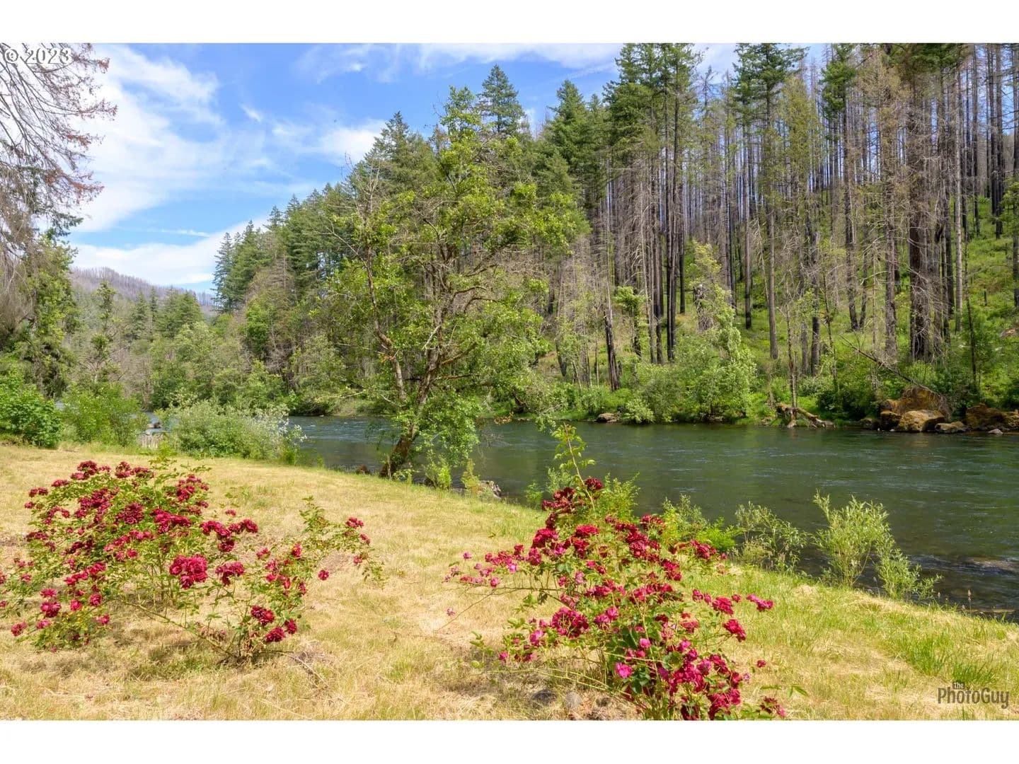 0.76 Acres of Land for Sale in Vida, OR - Vida, Oregon, 97488