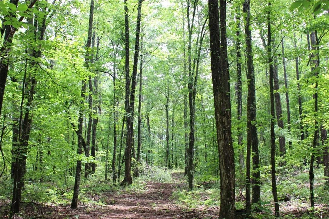 Property from Unknown Address - KW - Goodwater, Alabama, 35072
