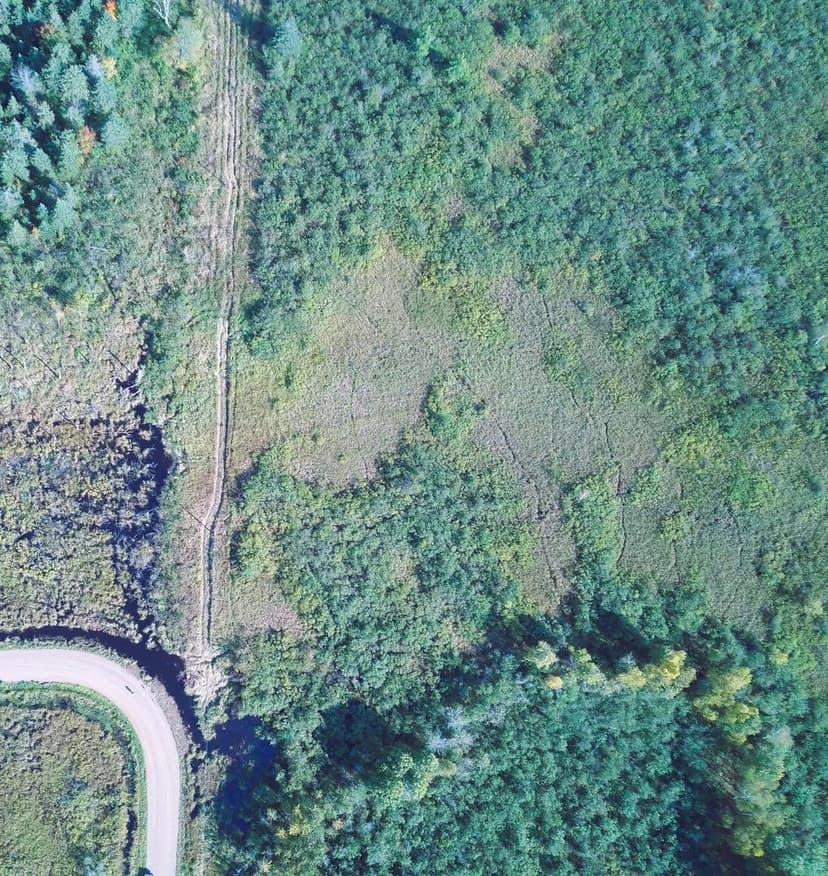 Vacant Land in Kalevala Twp
