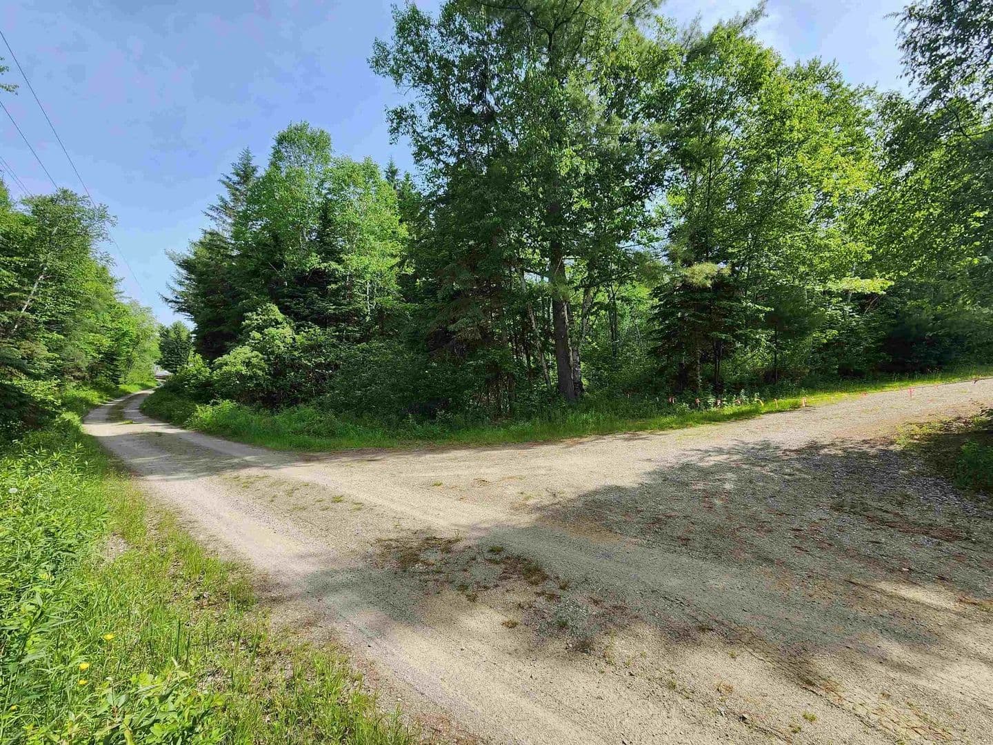Property from 00 Boise Cascade Road - KW - Dummer, New Hampshire, 3579