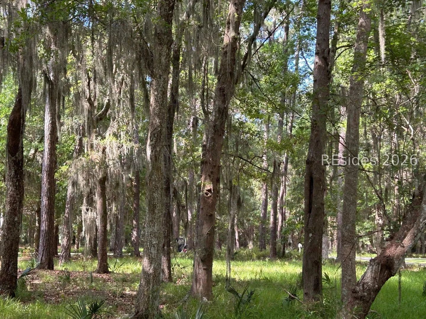 Property from 102 Primrose Lane - KW - Daufuskie Island, South Carolina, 29915