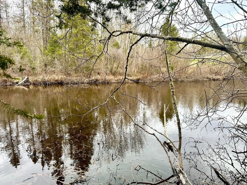 Vacant Land (0-10 Acres) in Phelps