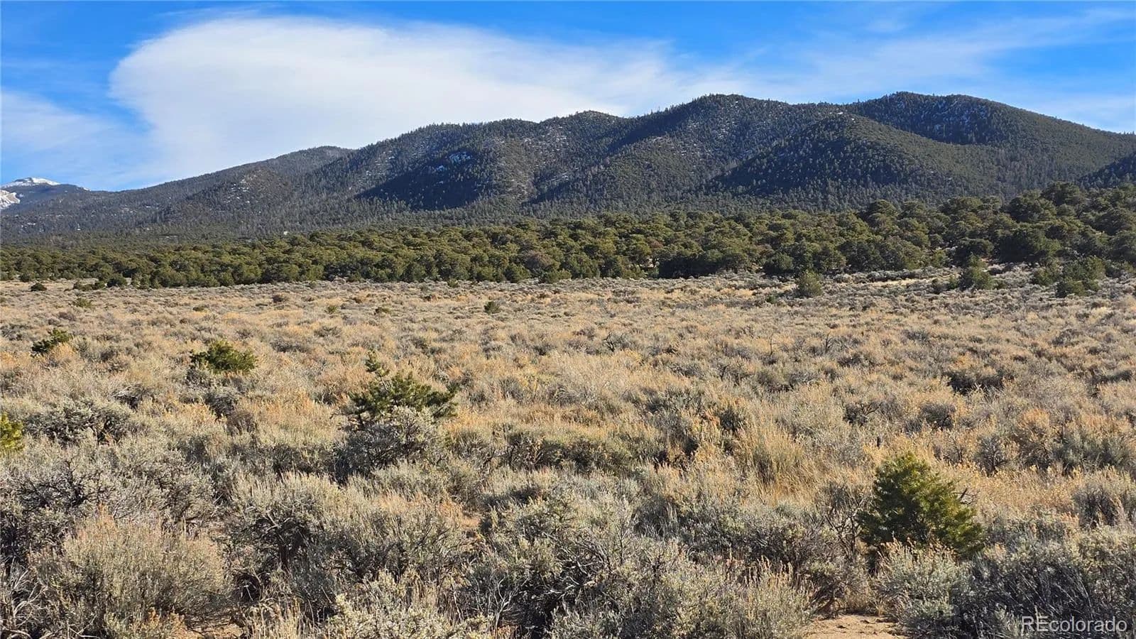 5.01 Acres of Land for Sale in Fort Garland, Colorado - Fort Garland, Colorado, 81133
