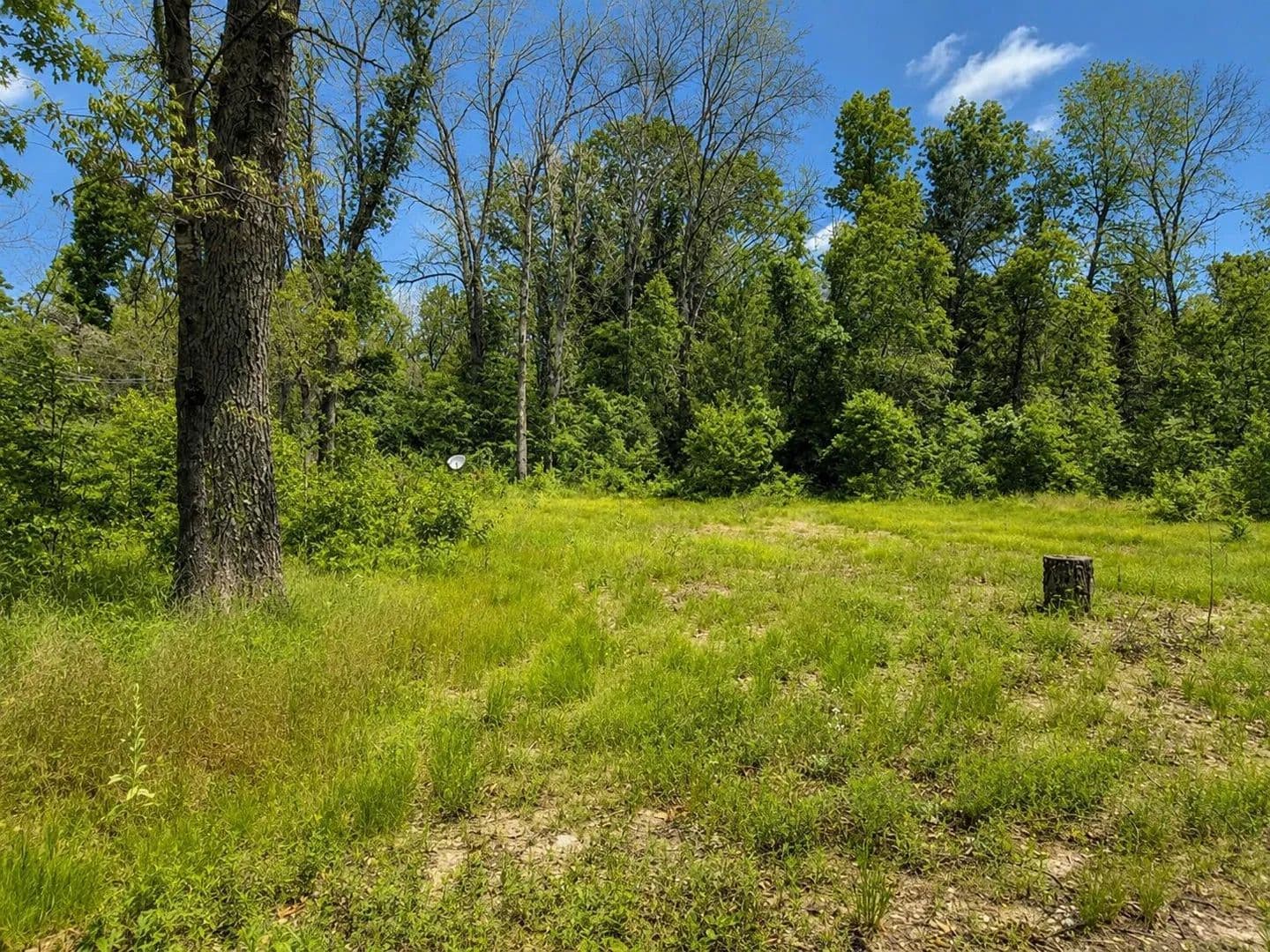 0.27 Acres of Land for Sale in Idlewild, MI - Idlewild, Michigan, 49642