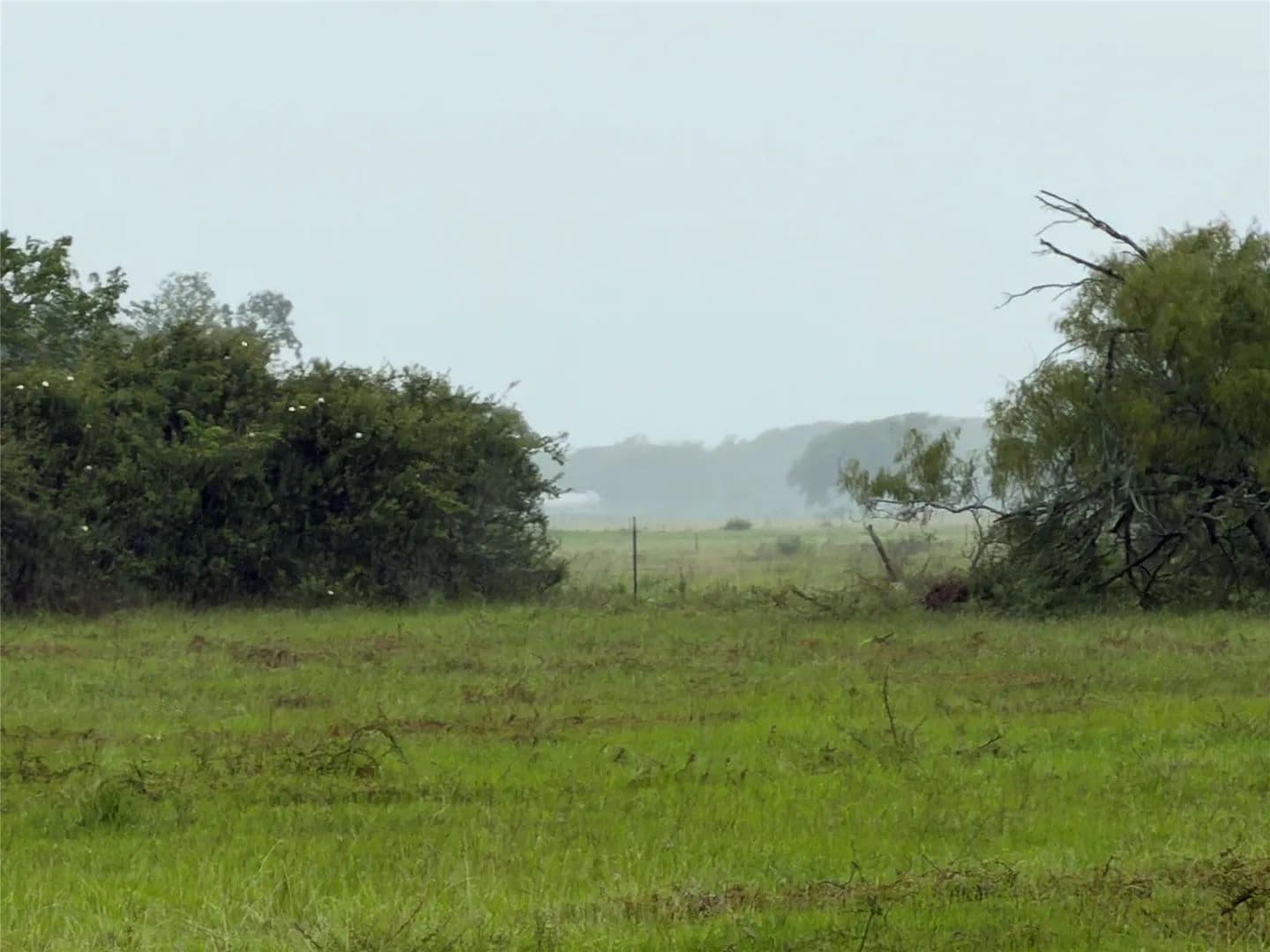 20 Acres of Land for Sale in Blessing, Texas - Blessing, Texas, 77419