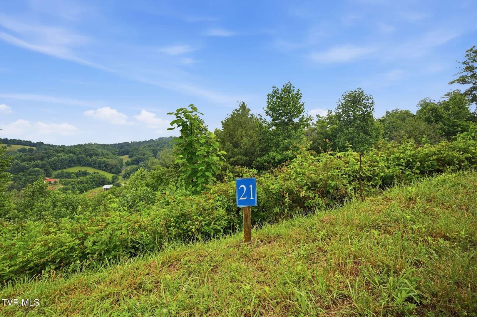 Property from Lot 21 Eagle Ridge Parkway - KW - Butler, Tennessee, 37640