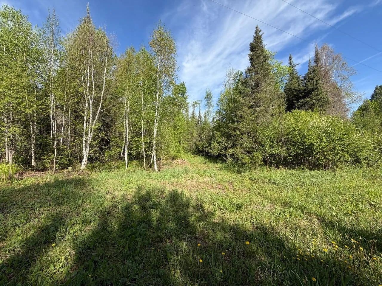 Land -Agricultural (Not Zoned) in Mercer - Mercer, Wisconsin, 54547