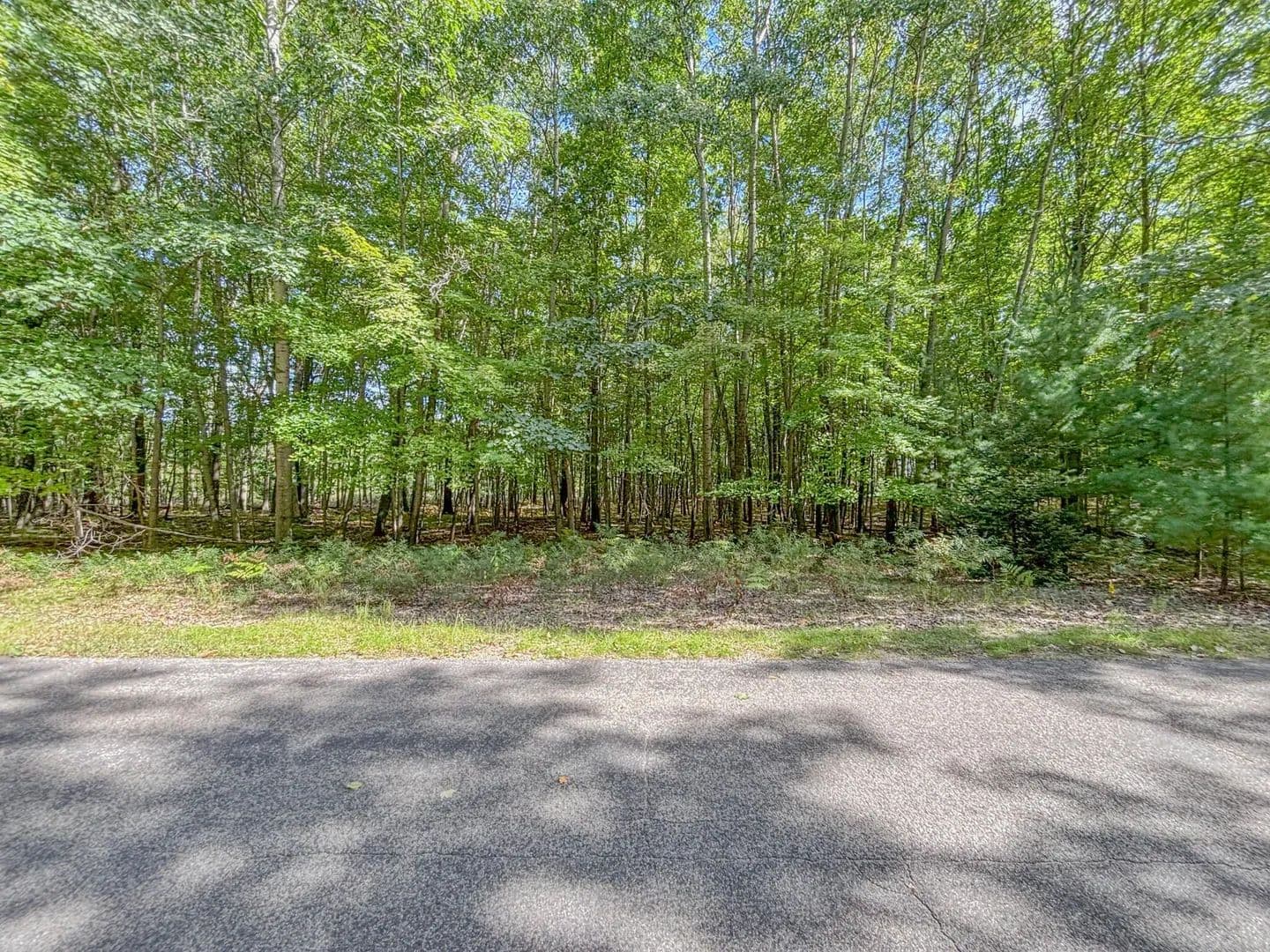 Lots & Land-Other in Canadian Lakes - Canadian Lakes, Michigan, 49346