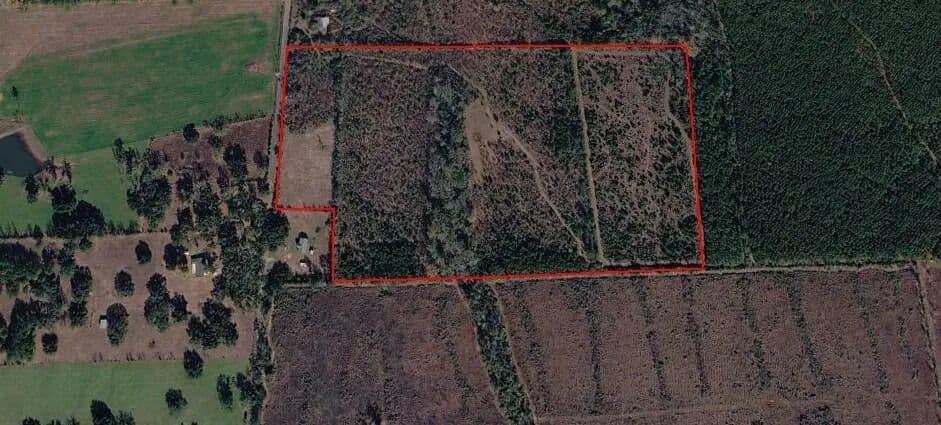 40 Acres of Land for Sale in Deridder, Louisiana - Deridder, Louisiana, 70634