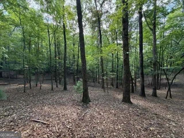 Lots & Land-Other in Ellijay - Ellijay, Georgia, 30540