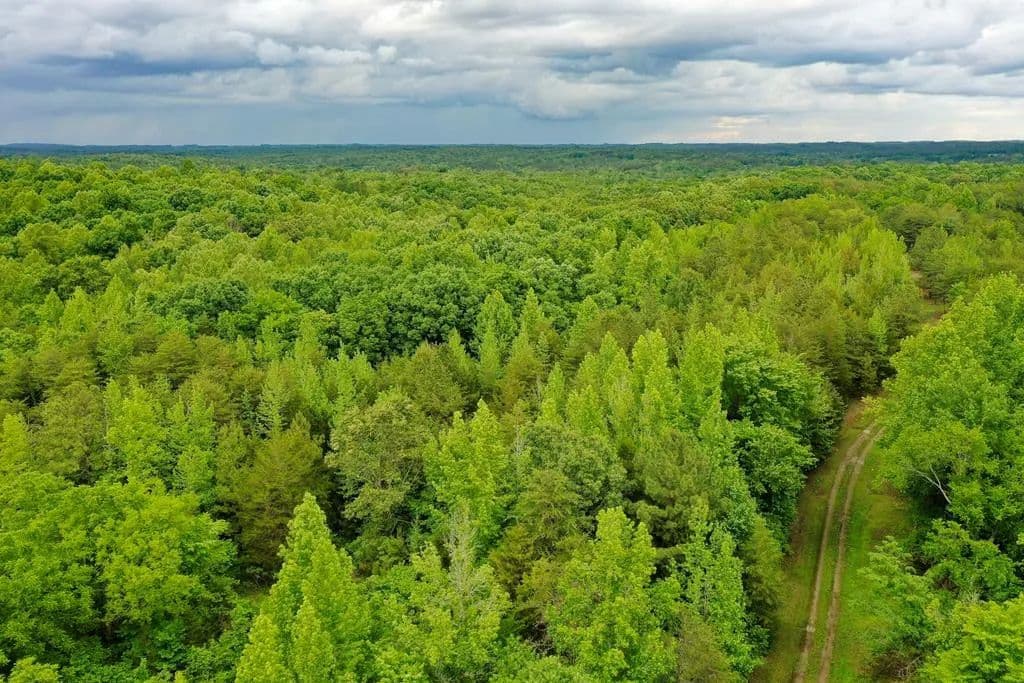 Property from Leda Road - KW - Nathalie, Virginia, 24577