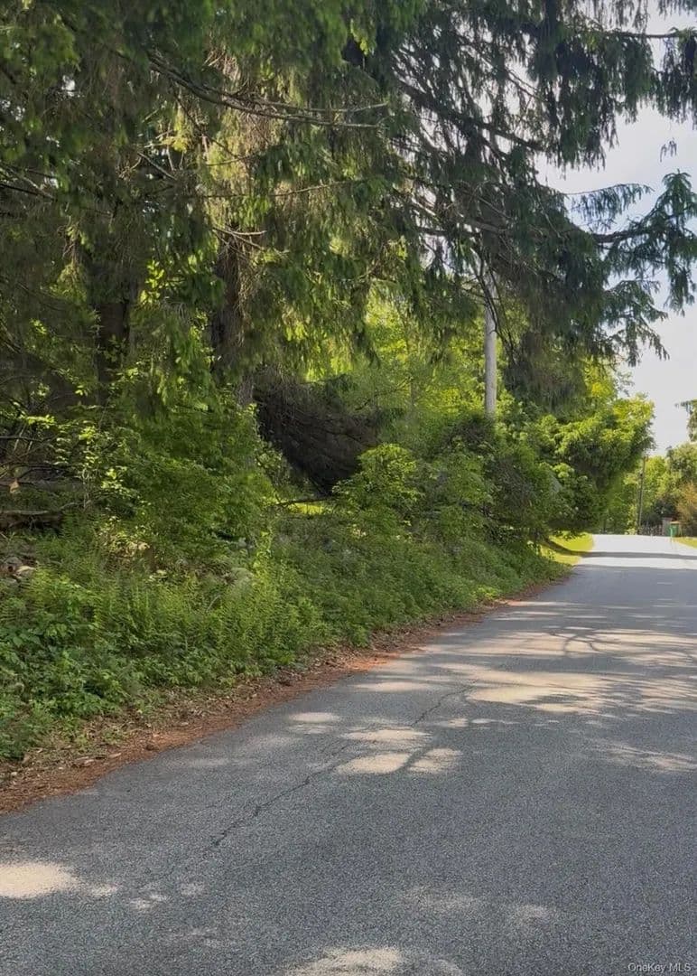 Property from Mountain Road N - KW - Cold Spring, New York, 10516