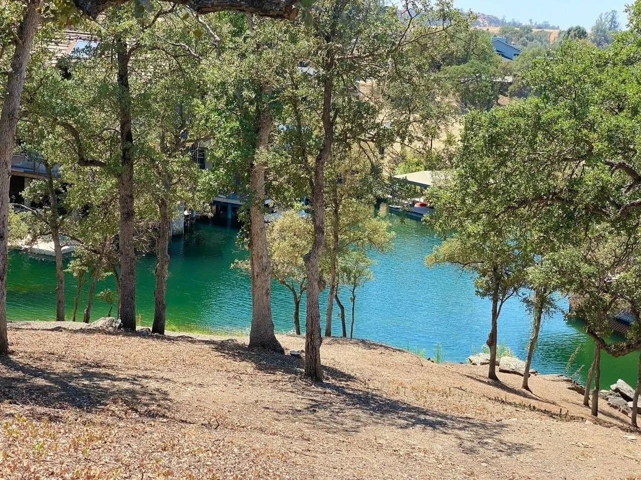 Lots & Land-Other in Copperopolis - Copperopolis, California, 95228