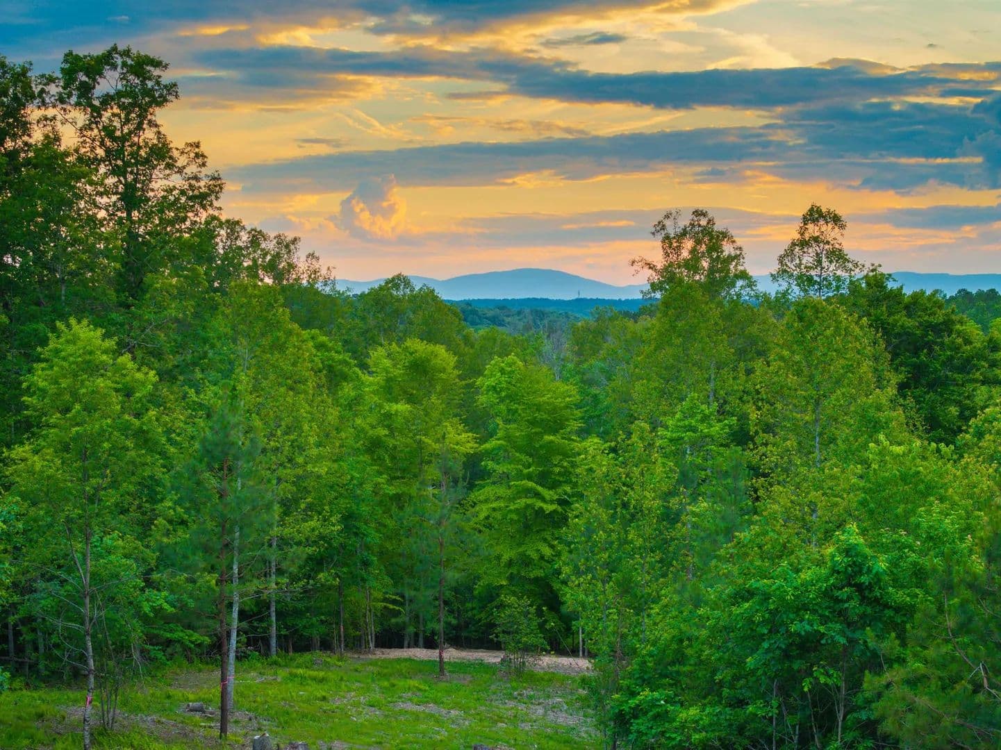 3.6 Acres of Land for Sale in Barboursville, VA - Barboursville, Virginia, 22923