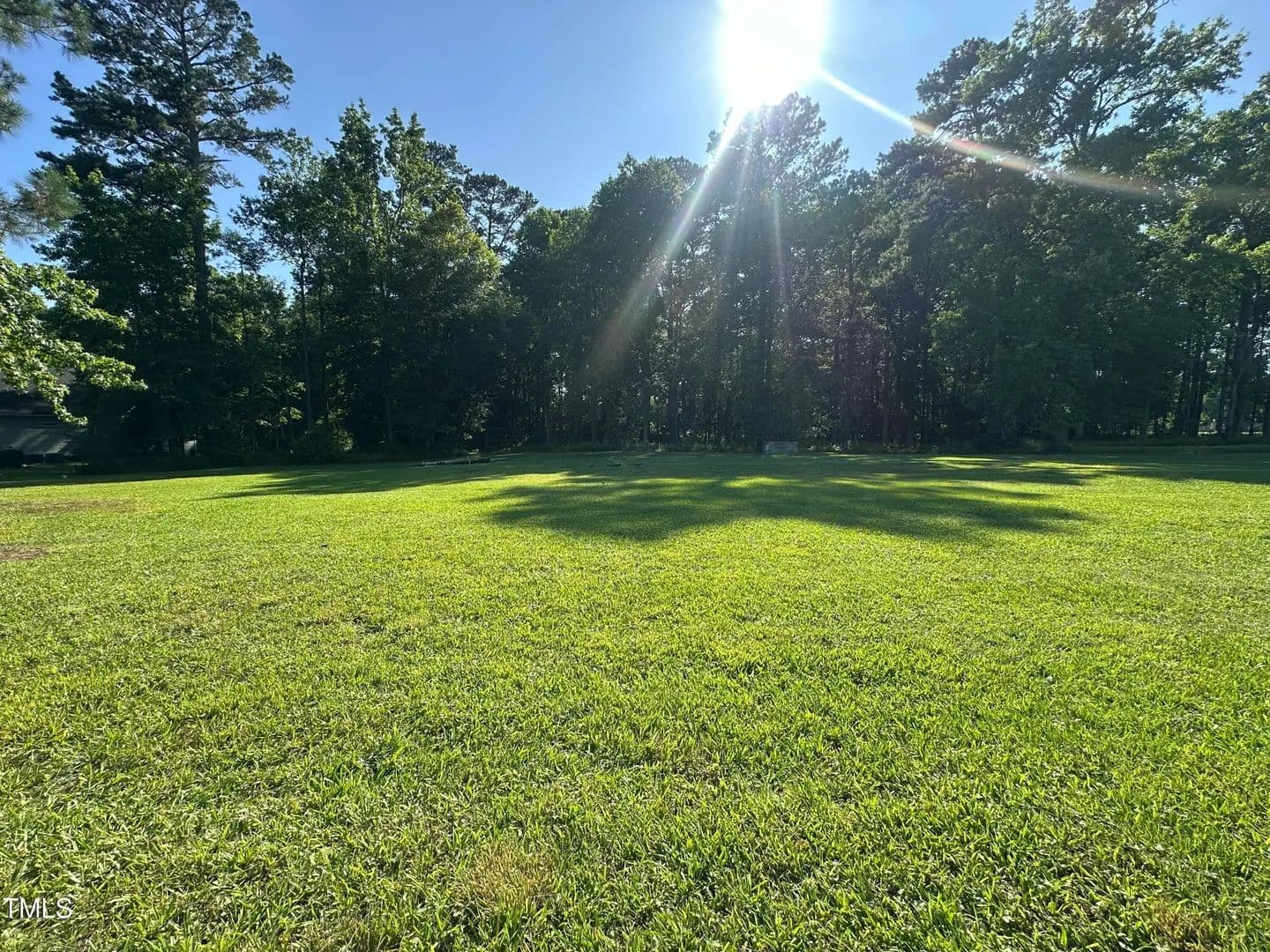 Vacant Land in Selma - land for sale