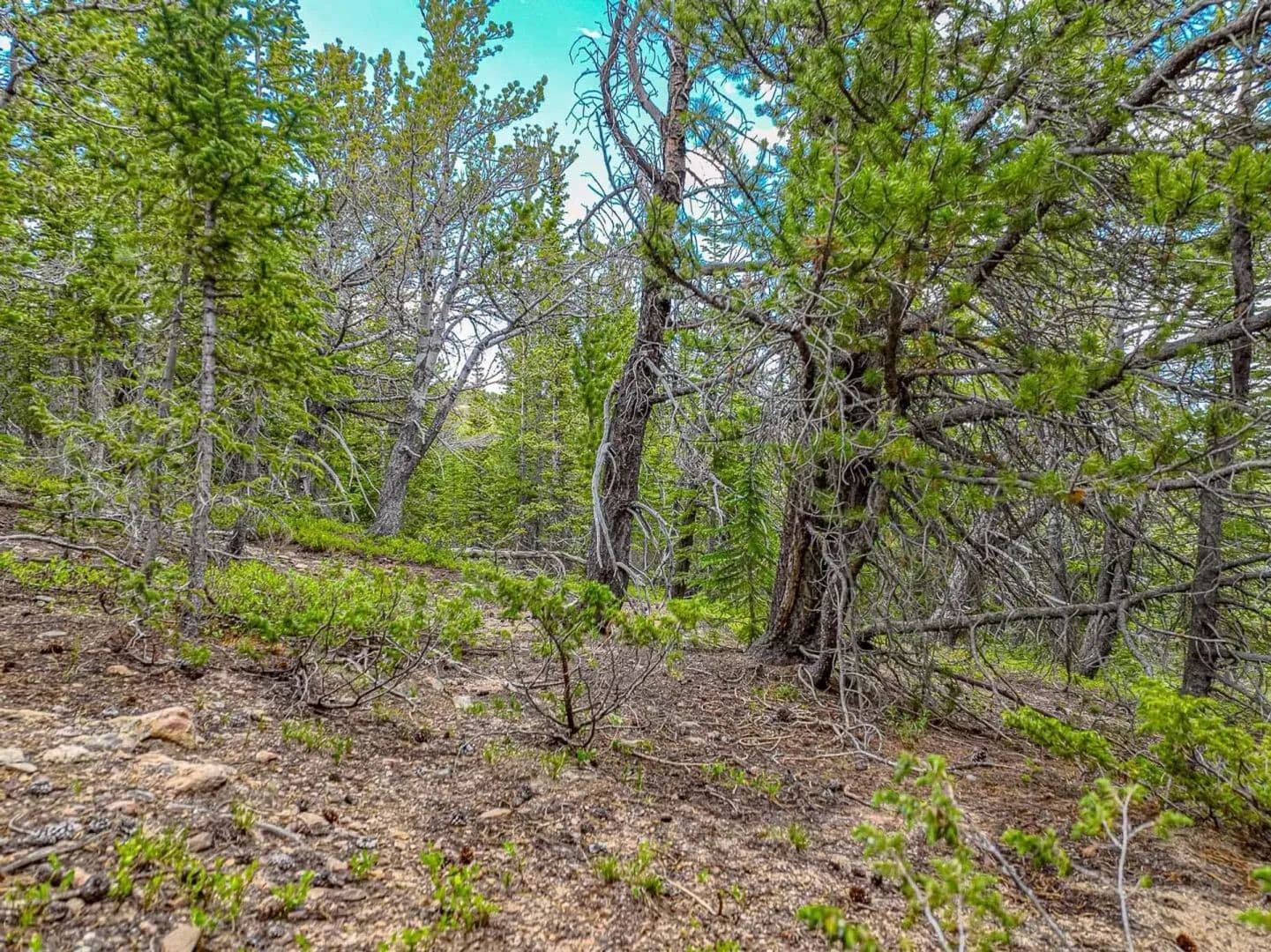 3.82 Acres of Land for Sale in Black Hawk, CO - Black Hawk, Colorado, 80422