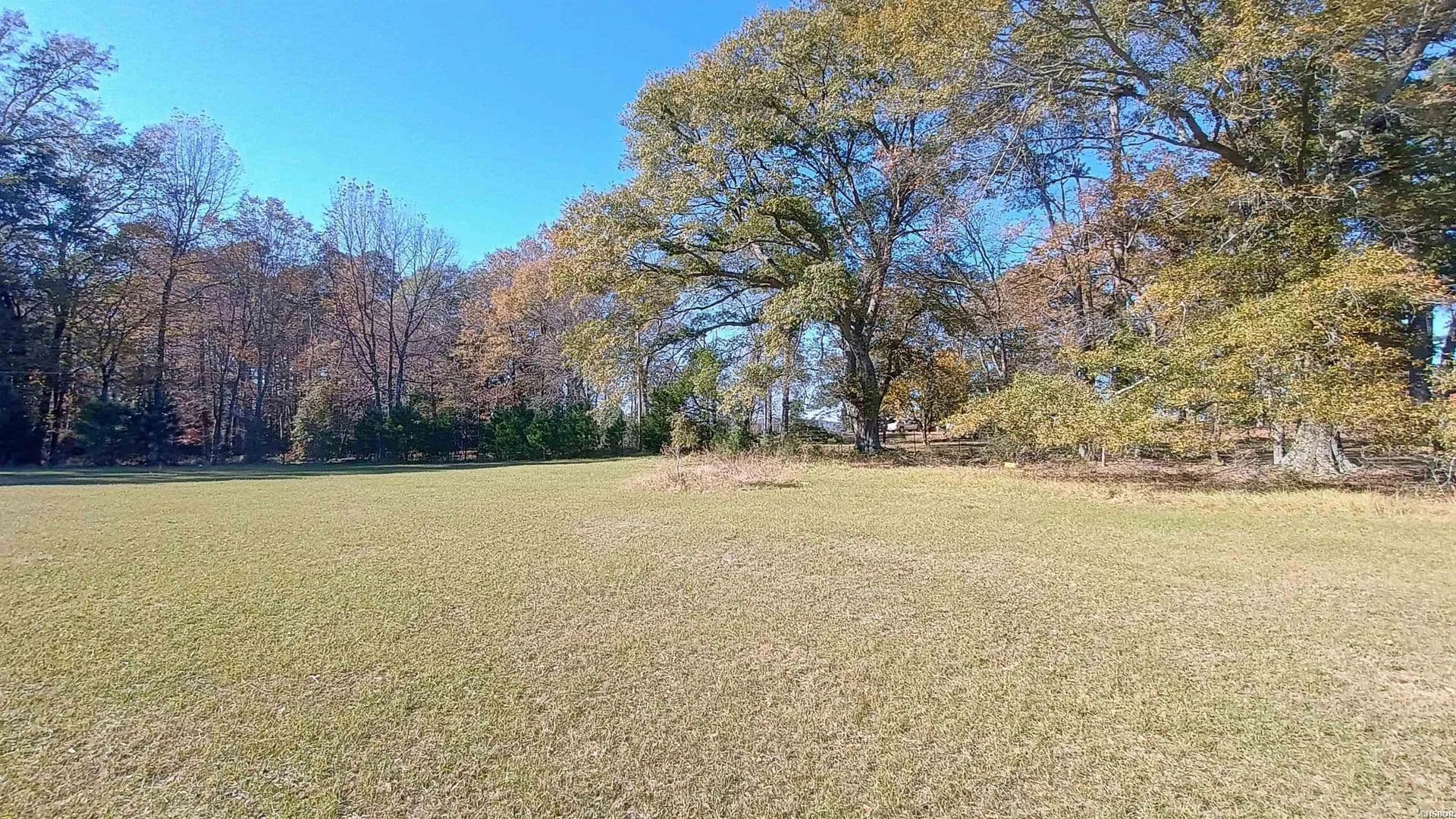 4 Acres of Land for Sale in Amity, Arkansas - Amity, Arkansas, 71921