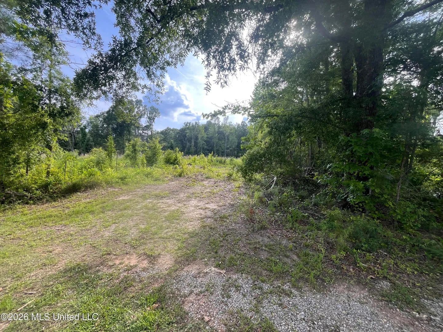 Property from Pettey Road - KW - Forest, Mississippi, 39074