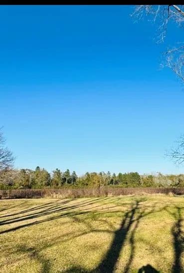 Property from 0 County Road 545 - KW