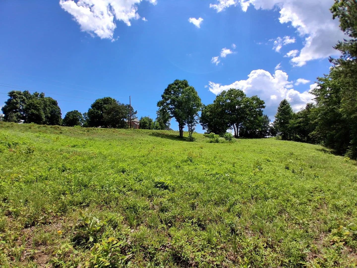 1.47 Acres of Land for Sale in Rutledge, Tennessee - Rutledge, Tennessee, 37861
