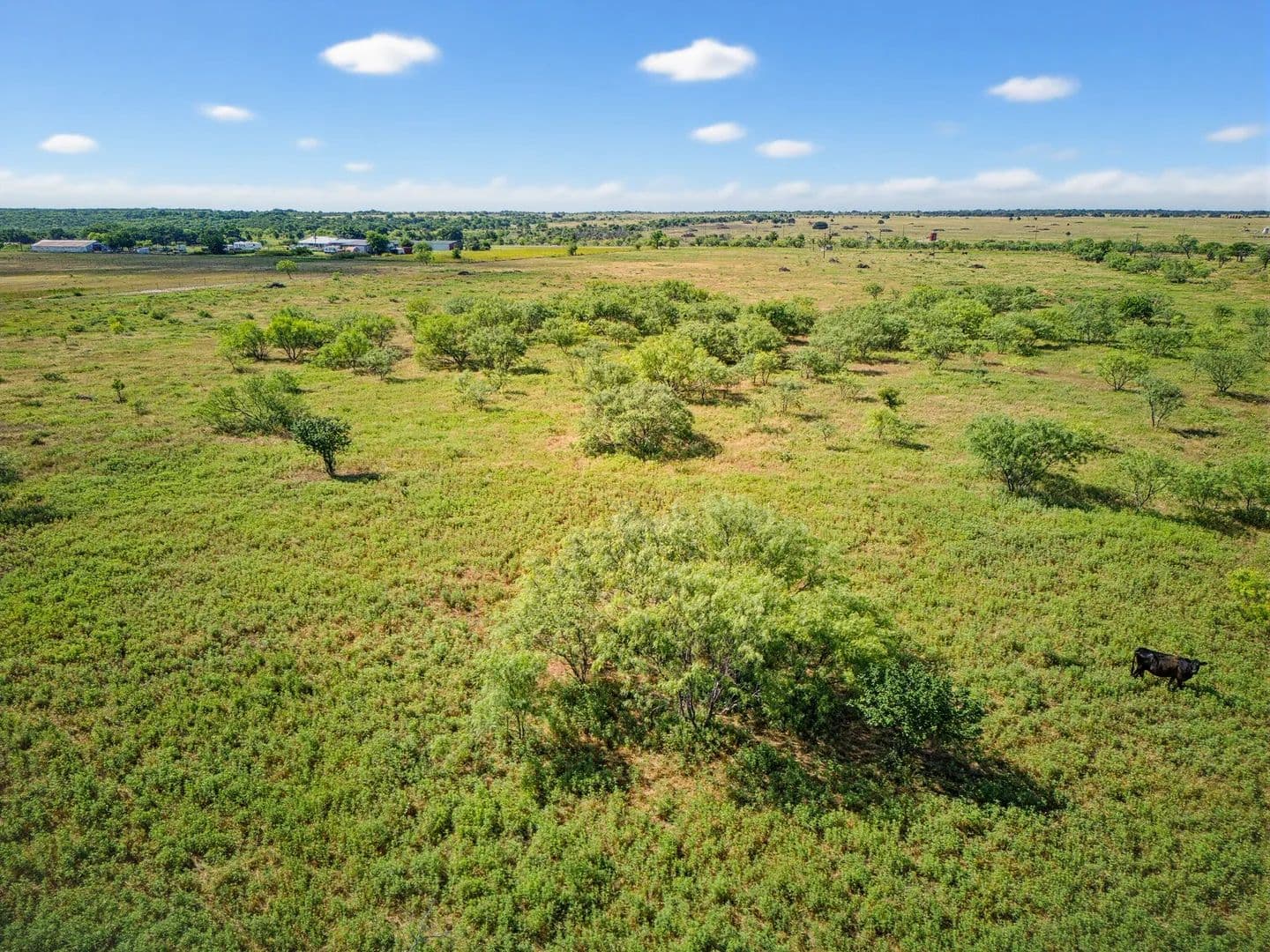 20.89 Acres of Land for Sale in Chico, Texas - Chico, Texas, 76431