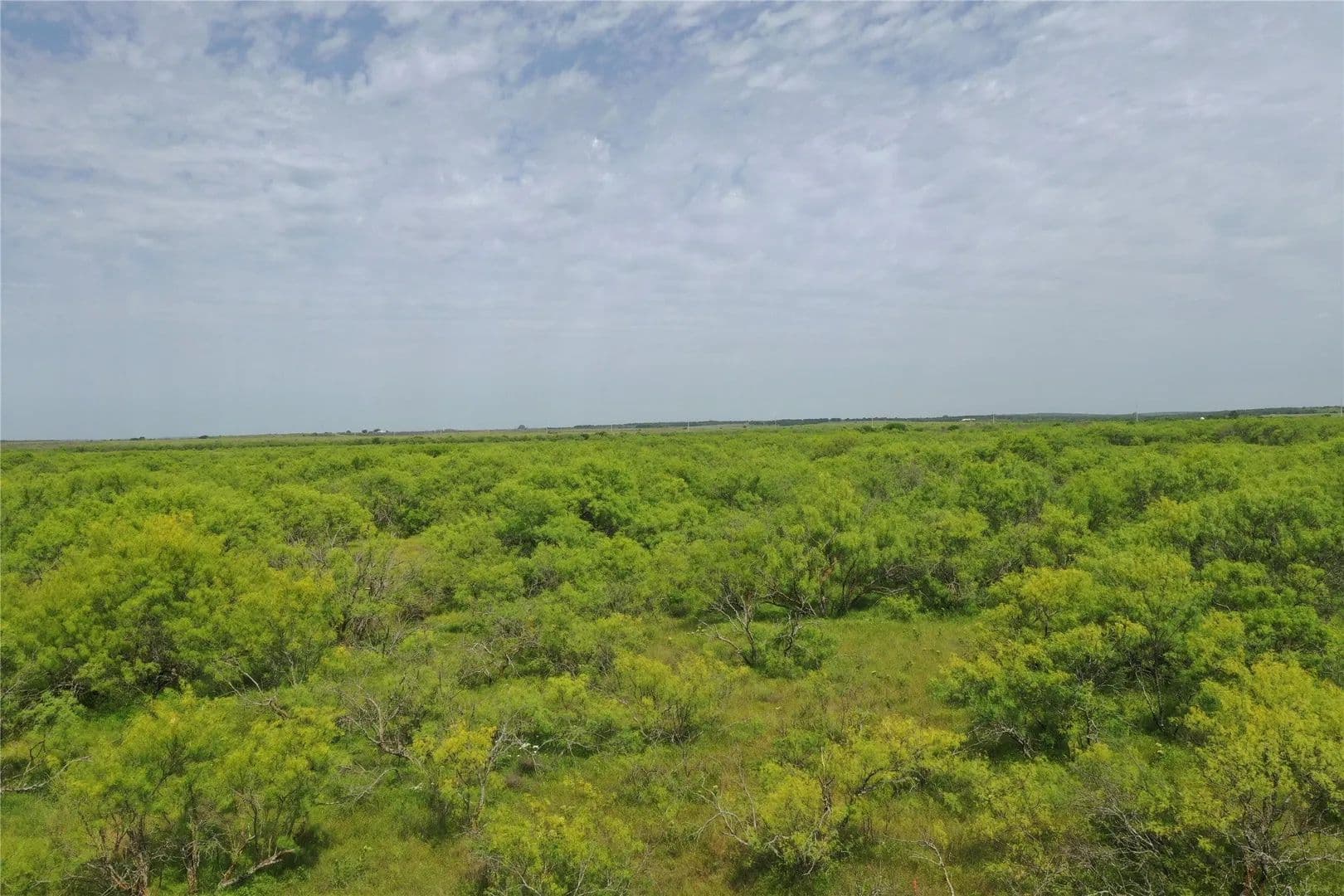 Lots & Land-Other in Bellevue - Bellevue, Texas, 76228