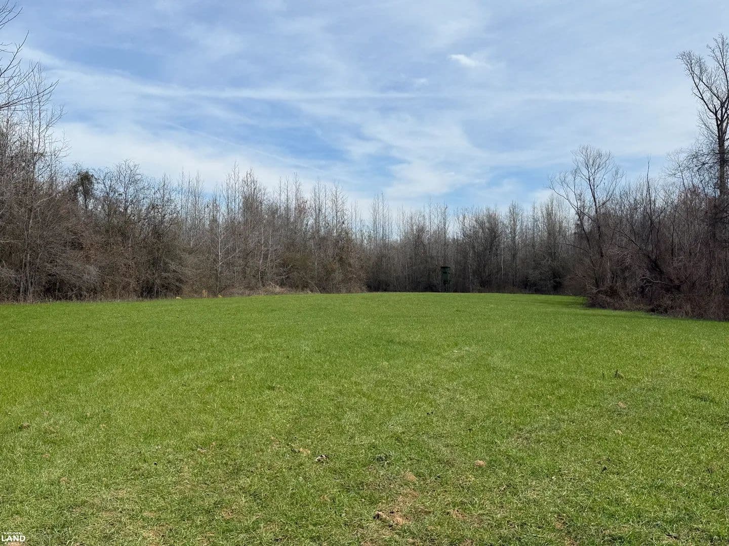 Big Sandy Recreational Tract A - Moundville, Alabama, 35474