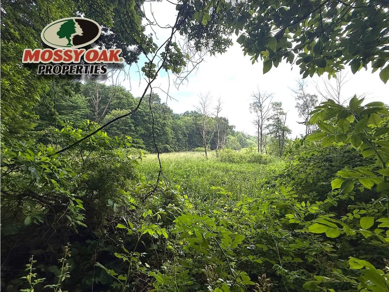 23± Acres – Marshall County, IN – Recreational Property – Land for Sale – Potential Building Site - Plymouth, Indiana, 46563