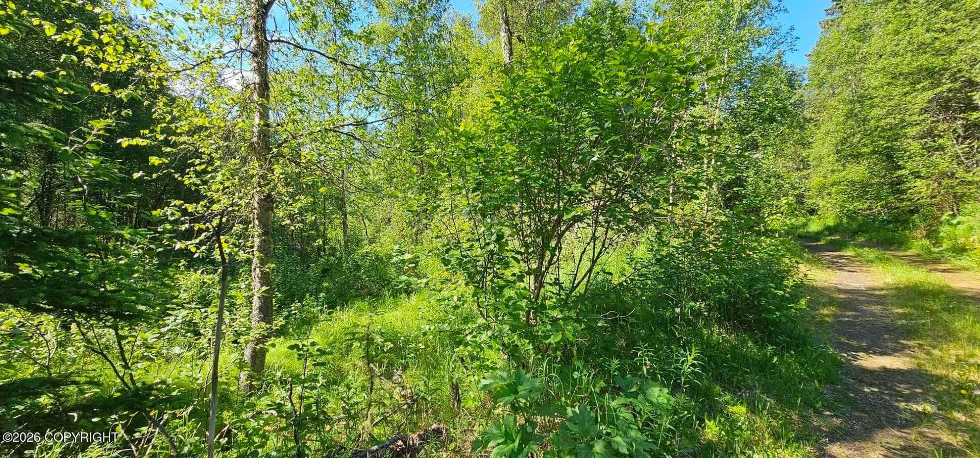 0.34 Acres of Land for Sale in Eagle River, AK - Eagle River, Alaska, 99577