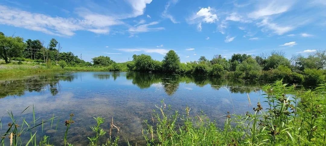 3.68 Acres of Land for Sale in BAILEYVILLE, IL - Baileyville, Illinois, 61007