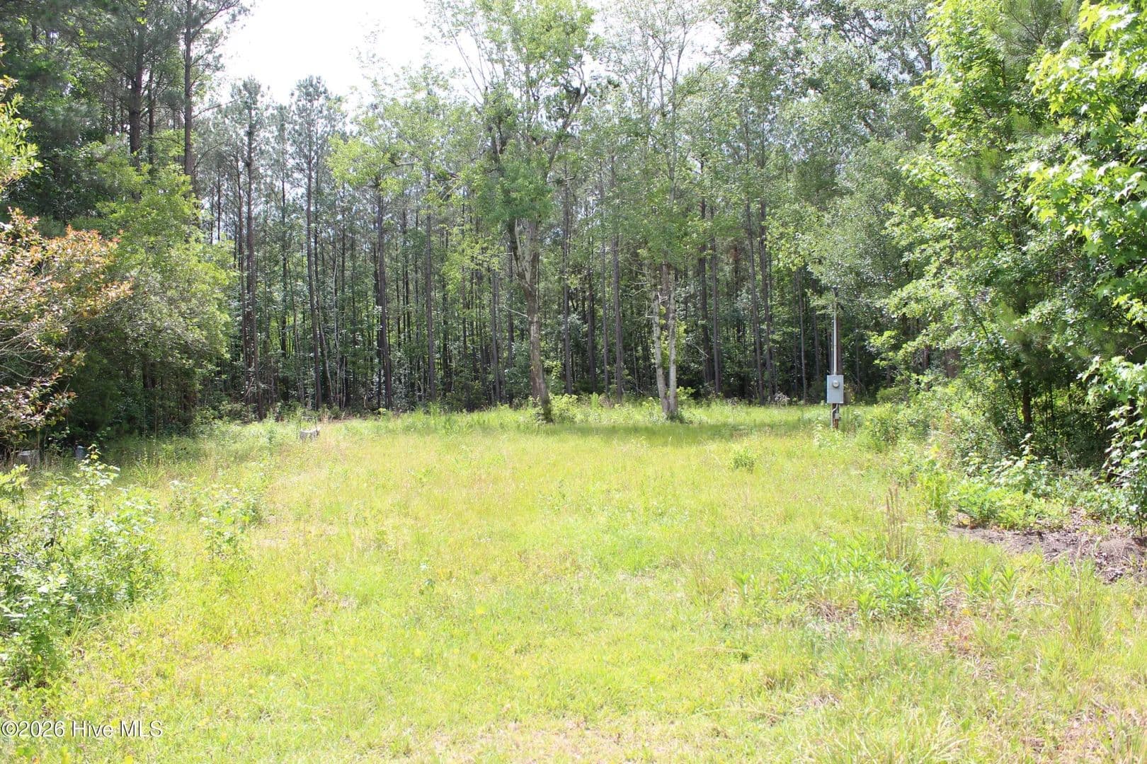 Vacant Land in Nakina - Nakina, North Carolina, 28455