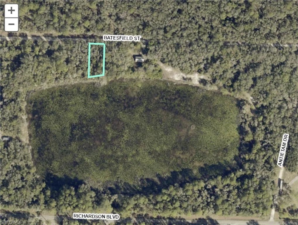 0.31 Acres of Land for Sale in WEBSTER, FL - Webster, Florida, 33597