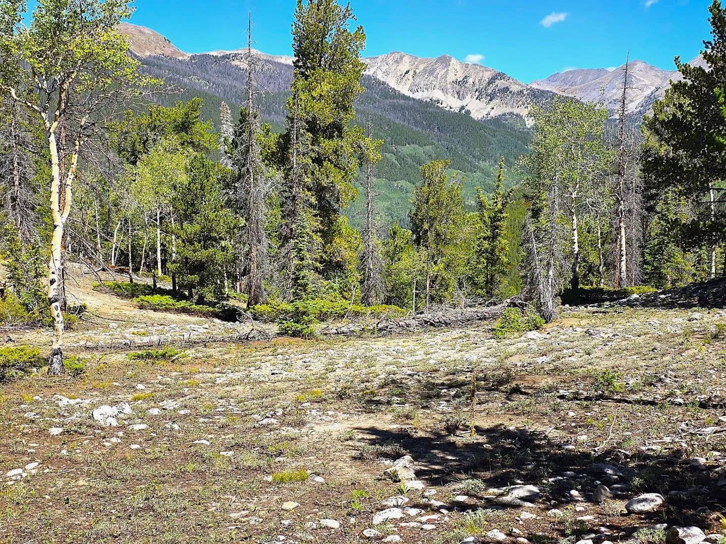 140 ± Acre Mountain Property for Sale in Whitepine, Colorado - land for sale