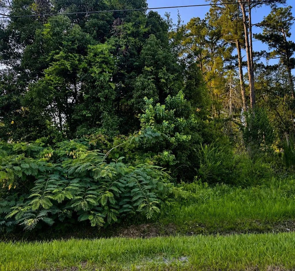 0.17 Acres of Land for Sale in Wewahitchka, Florida - Wewahitchka, Florida, 32465