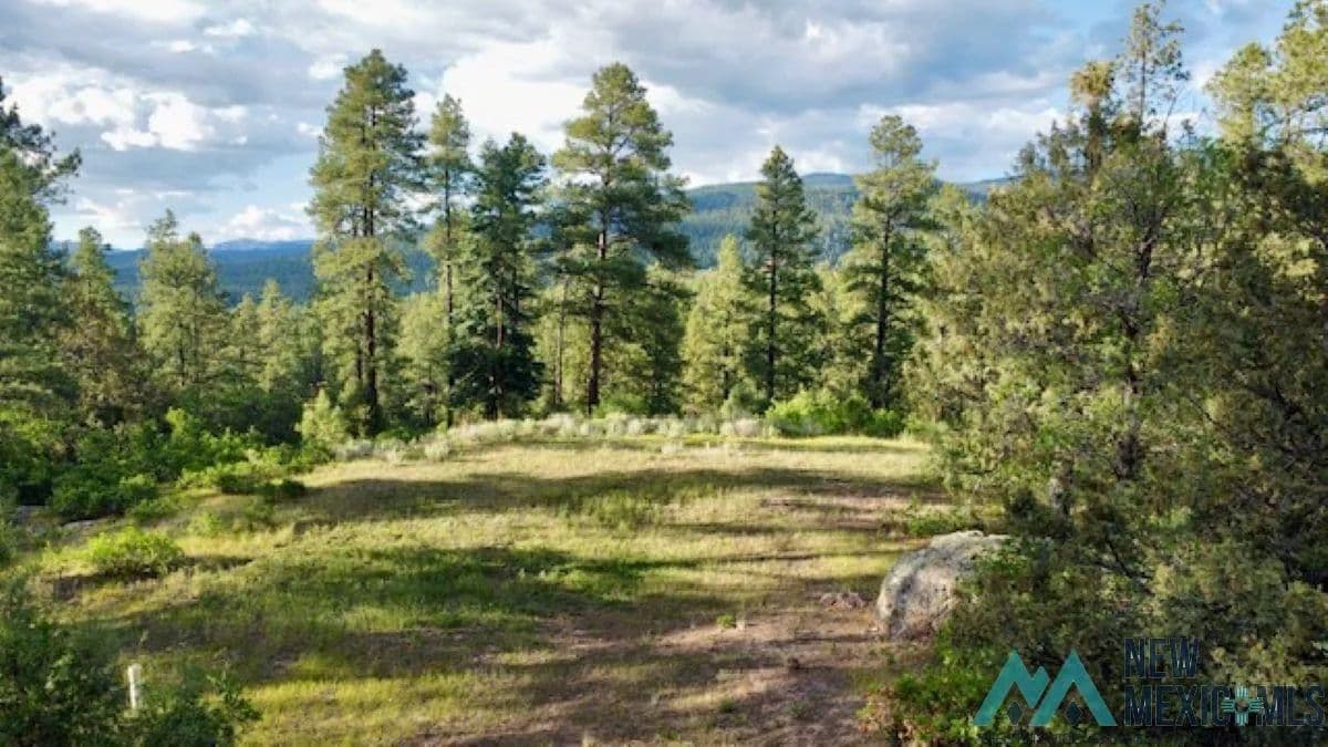 Property from Owls 2A Blue Spruce Trail - KW - Chama, New Mexico, 87520