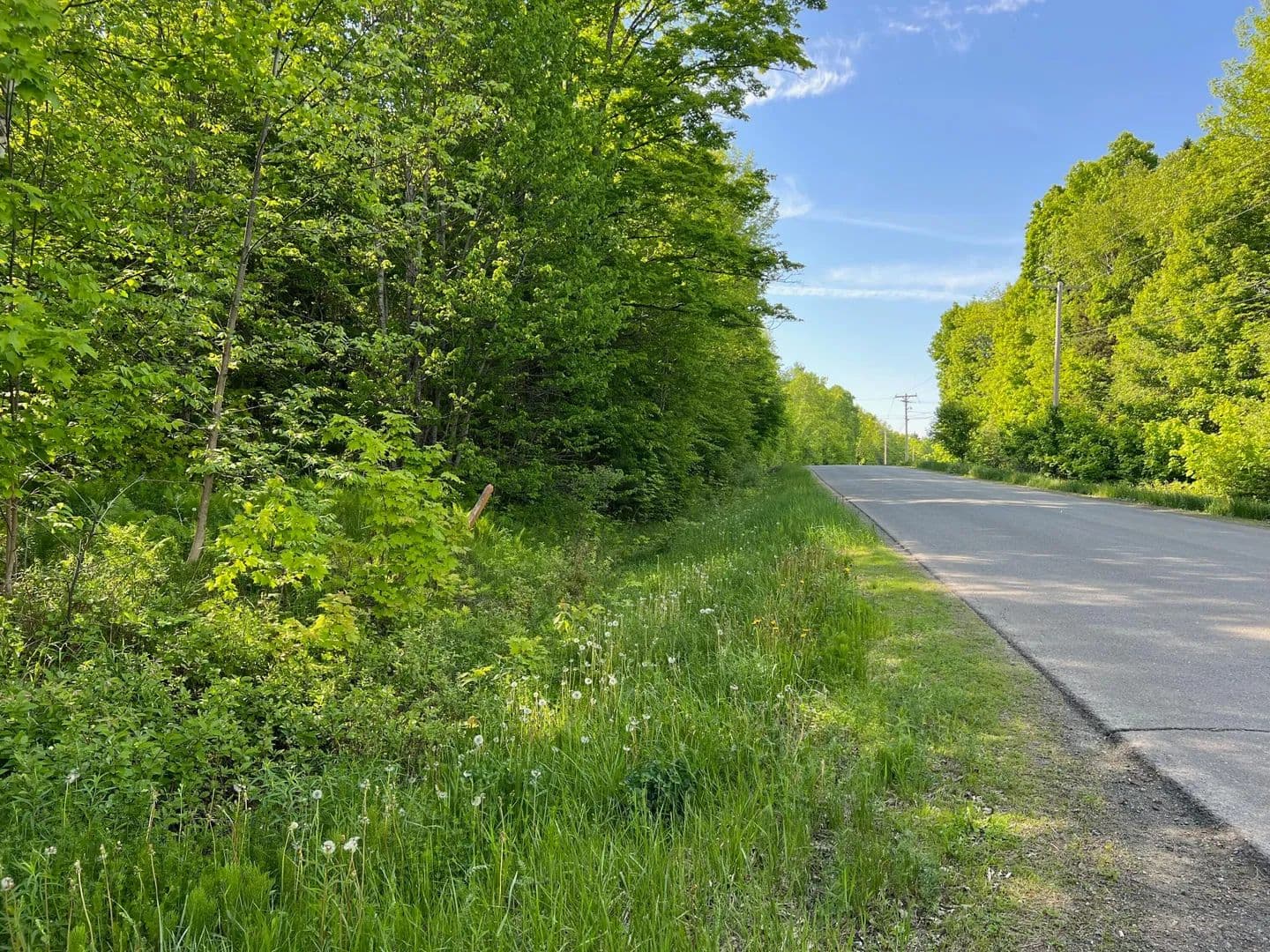 52 Acres of Land for Sale in Linneus, Maine - Linneus, Maine, 04730