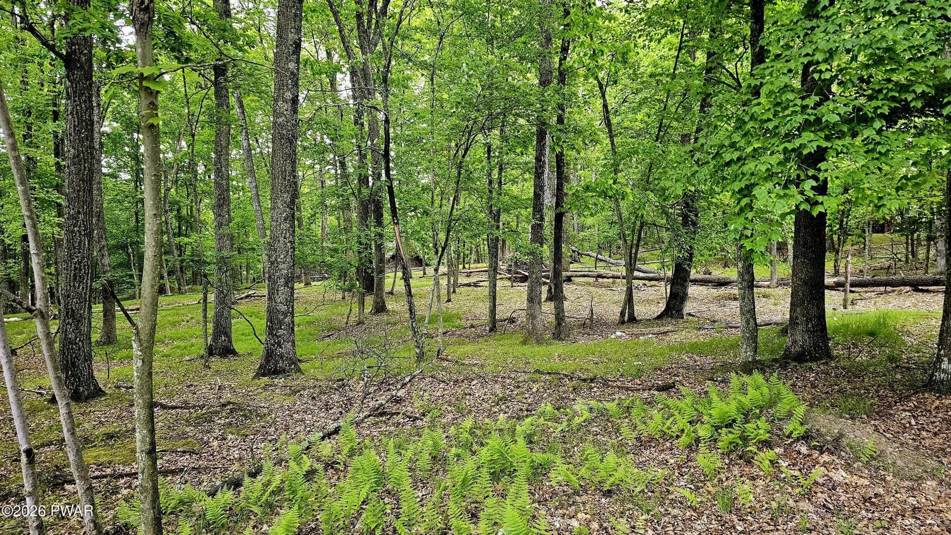 Property from Lot 34 Westcolang Road - KW - Hawley, Pennsylvania, 18428