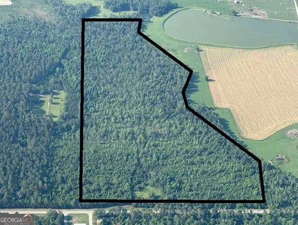 55 Acres of Land for Sale in Metter, Georgia - Metter, Georgia, 30439