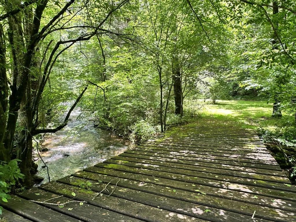 Property from 2172 Eagle Fork - KW - Hayesville, North Carolina, 28904