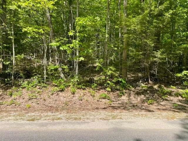 3 Acres of Land for Sale in Harrison, Maine - Harrison, Maine, 04040