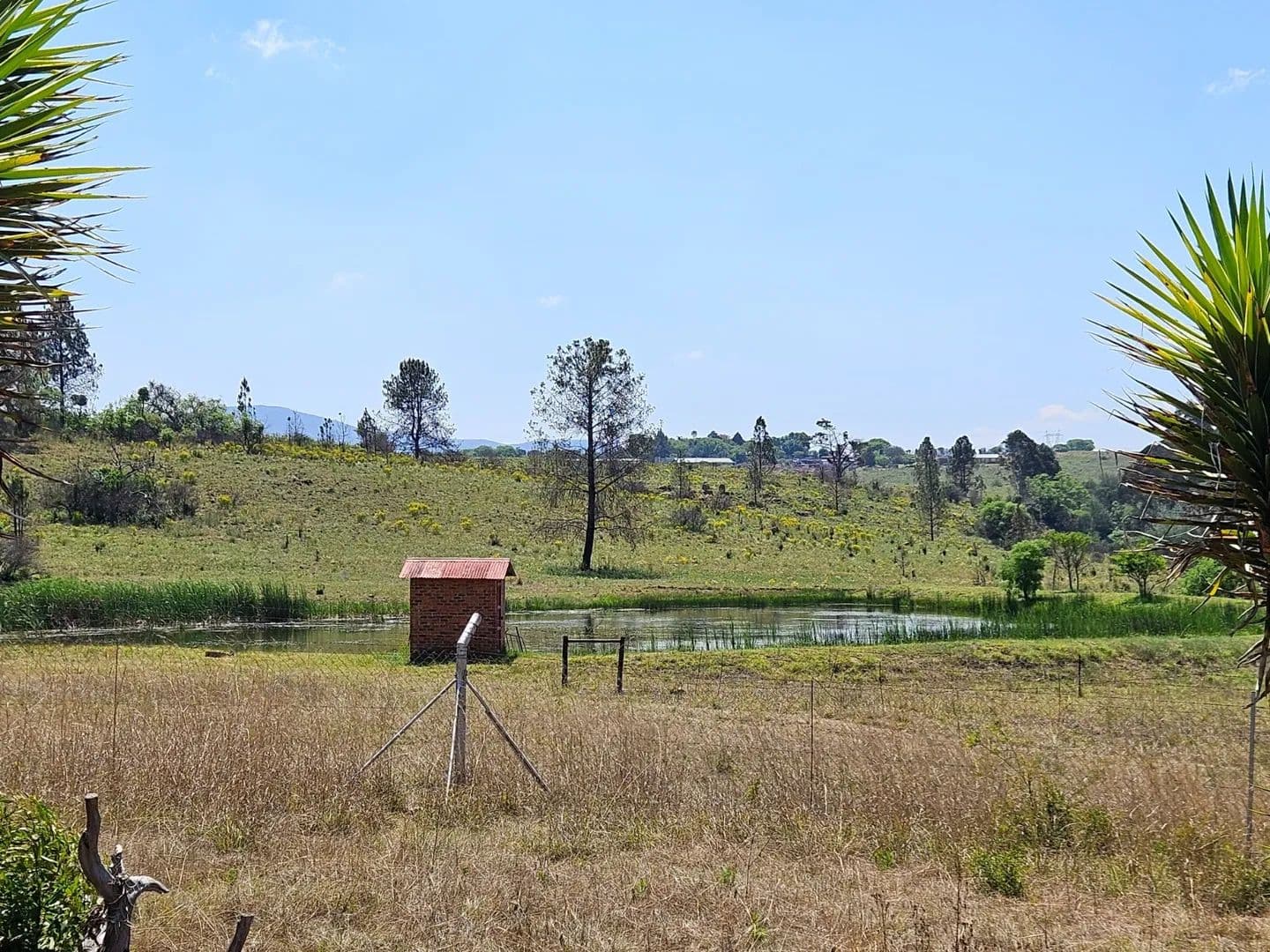 Land for Sale in Lydenburg, Mpumalanga - land for sale